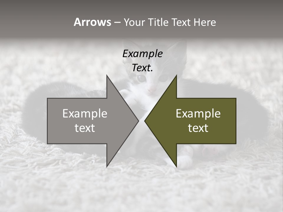 Born Hair Curious PowerPoint Template