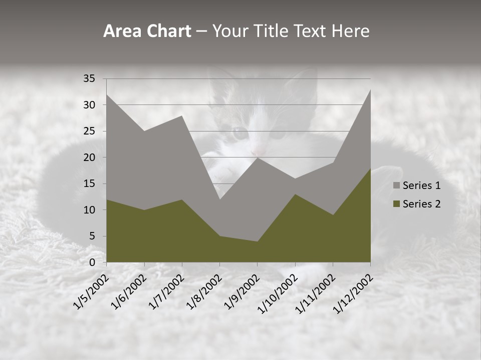 Born Hair Curious PowerPoint Template