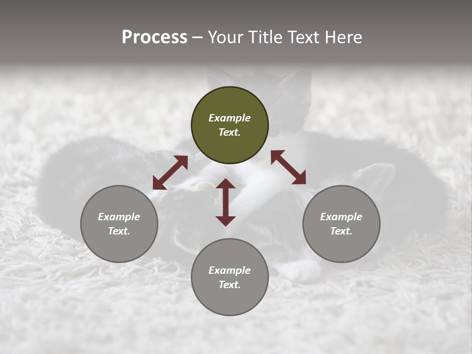 Born Hair Curious PowerPoint Template