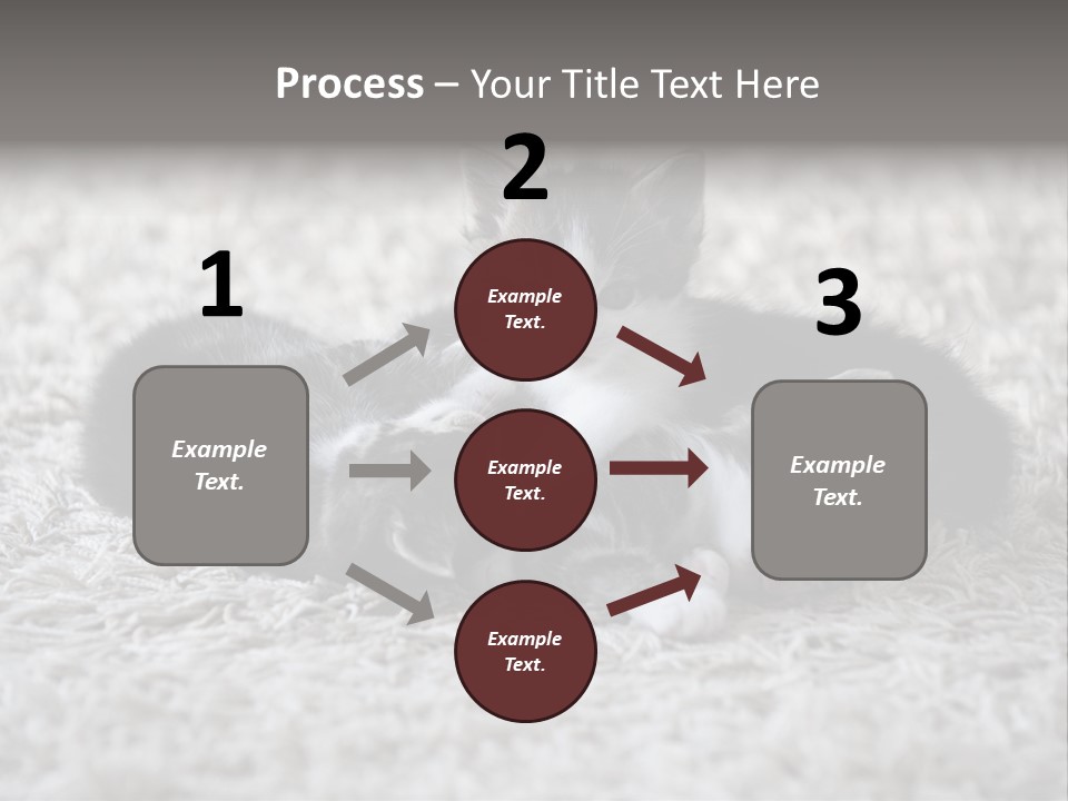 Born Hair Curious PowerPoint Template