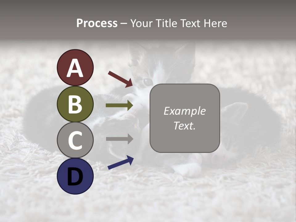 Born Hair Curious PowerPoint Template