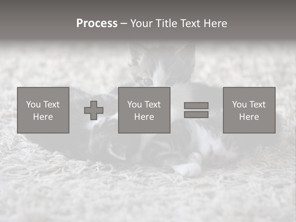 Born Hair Curious PowerPoint Template