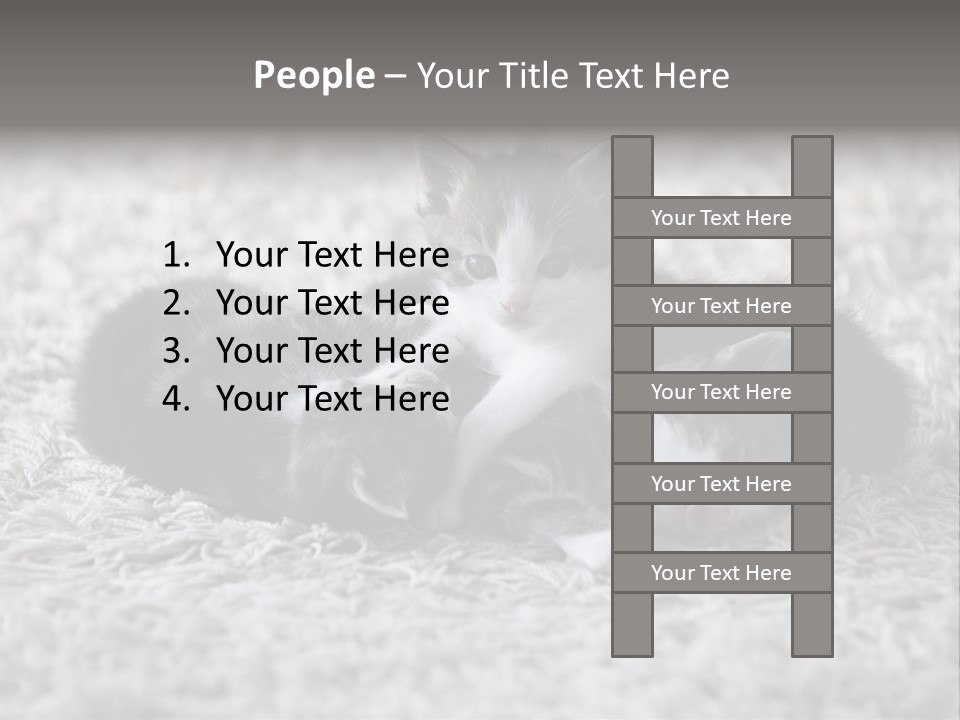 Born Hair Curious PowerPoint Template