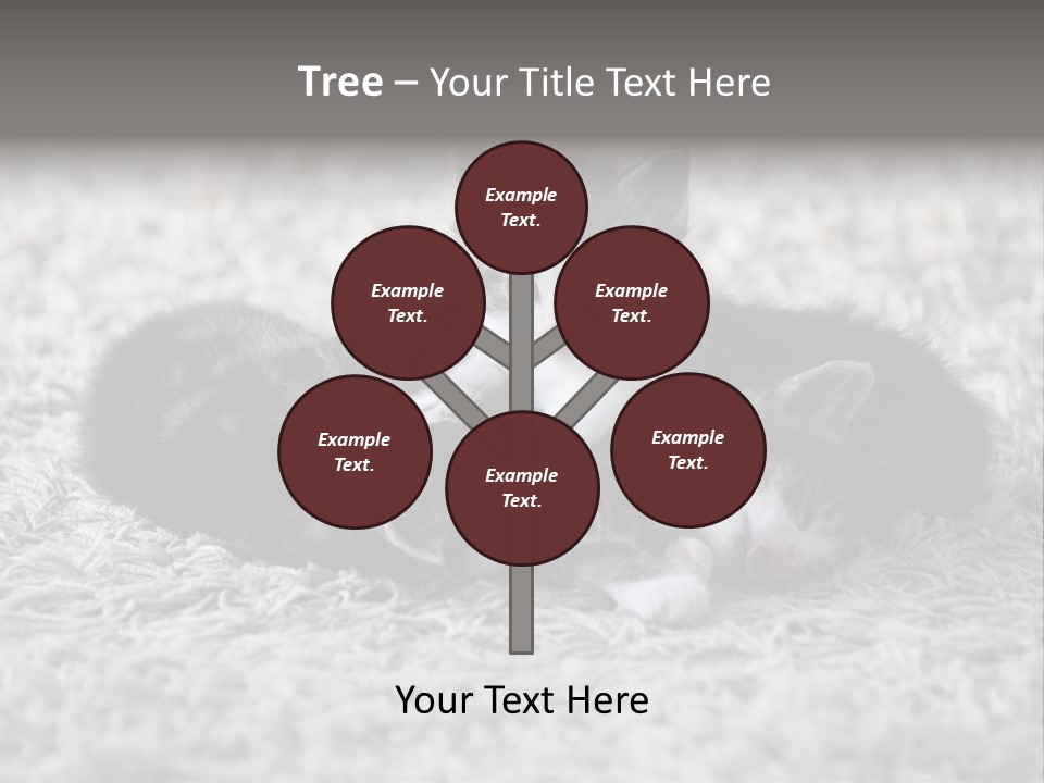 Born Hair Curious PowerPoint Template