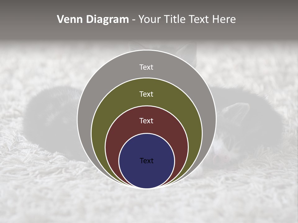 Born Hair Curious PowerPoint Template