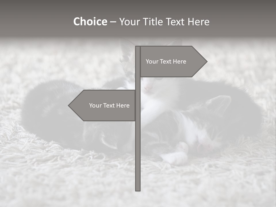 Born Hair Curious PowerPoint Template