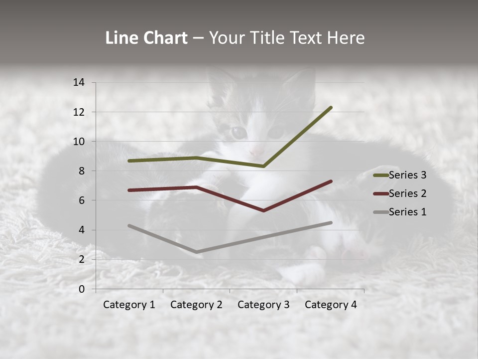 Born Hair Curious PowerPoint Template