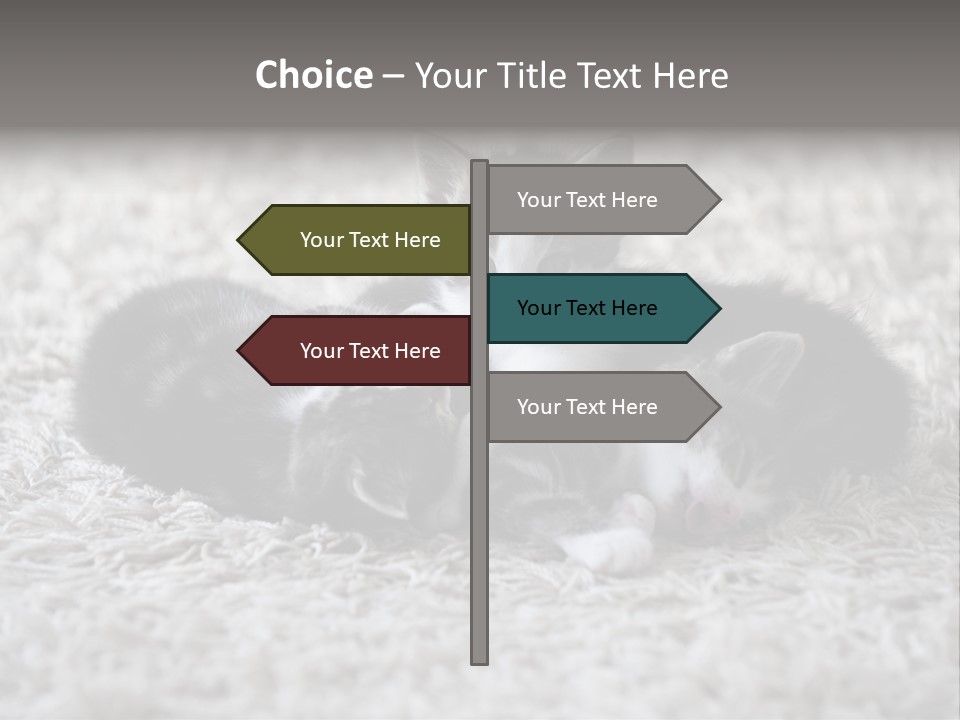 Born Hair Curious PowerPoint Template