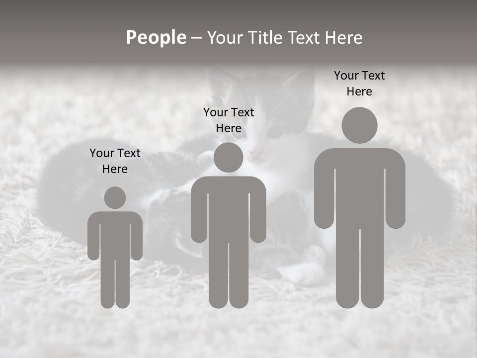 Born Hair Curious PowerPoint Template