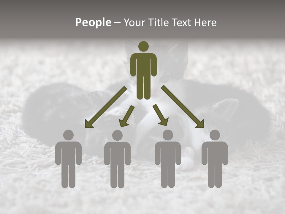 Born Hair Curious PowerPoint Template