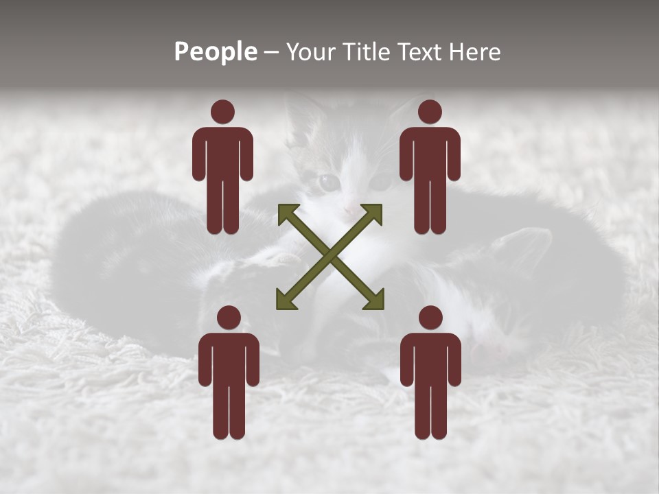 Born Hair Curious PowerPoint Template