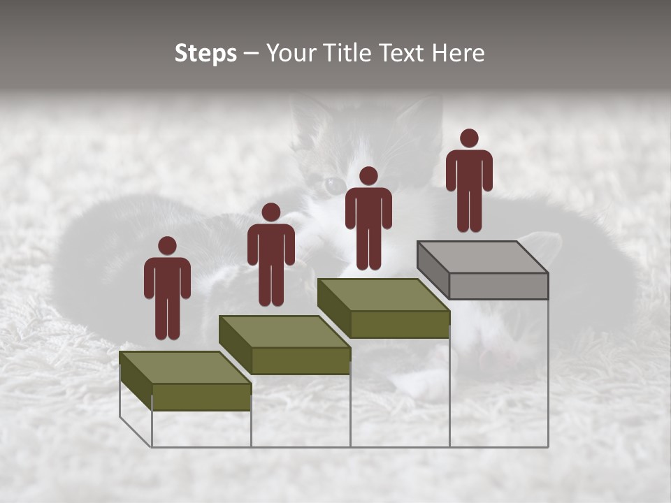 Born Hair Curious PowerPoint Template