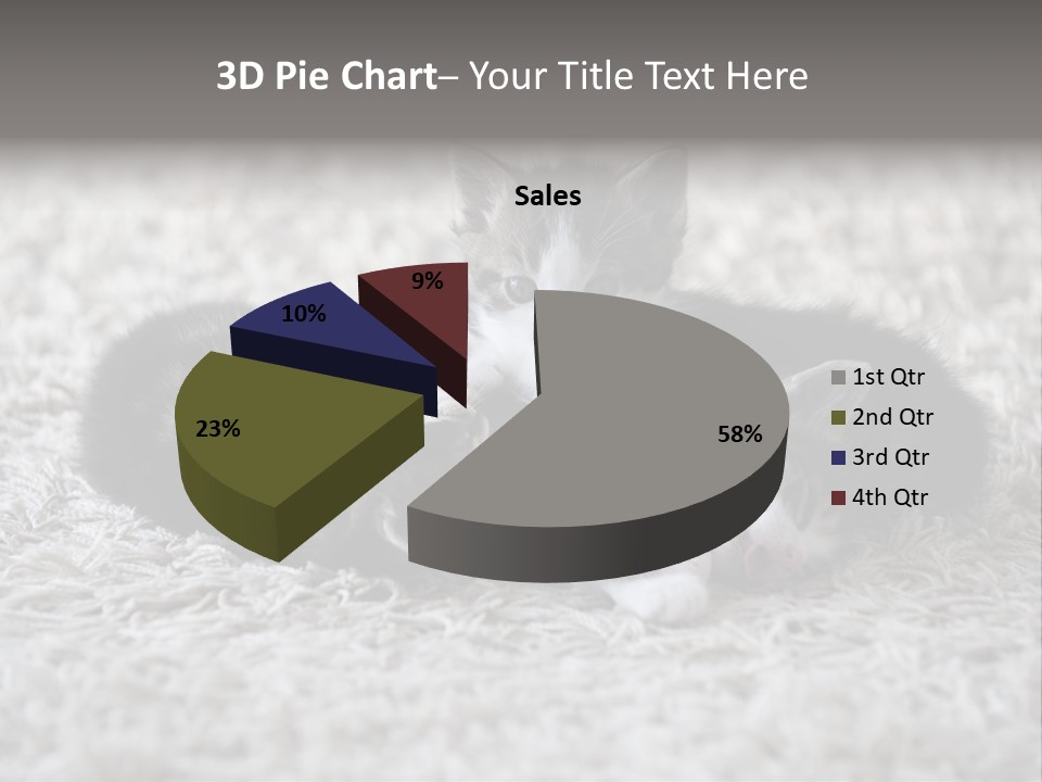 Born Hair Curious PowerPoint Template