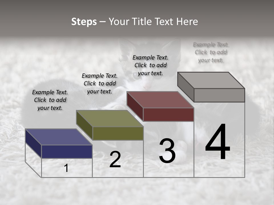 Born Hair Curious PowerPoint Template