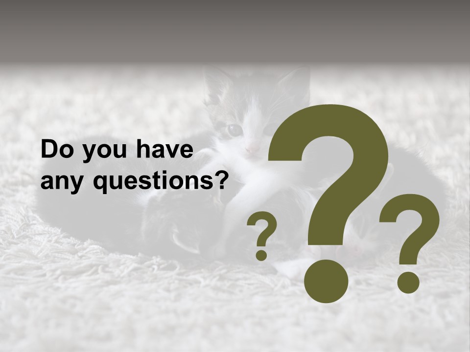 Born Hair Curious PowerPoint Template