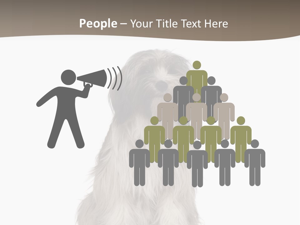 Looking At Camera Portrait Young PowerPoint Template