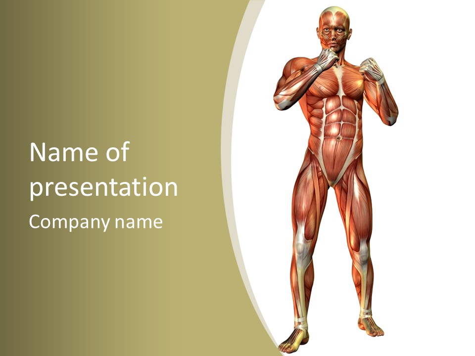 Clipart Man Male PowerPoint Template