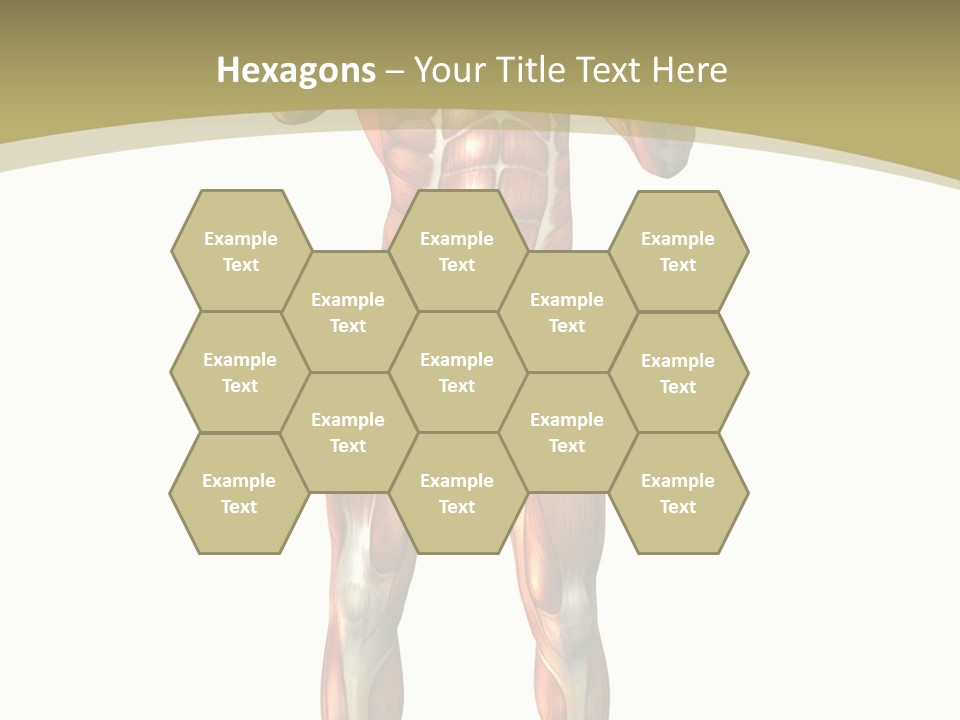 Clipart Man Male PowerPoint Template