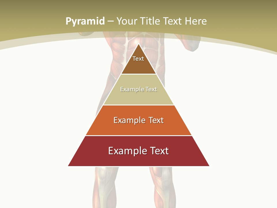 Clipart Man Male PowerPoint Template