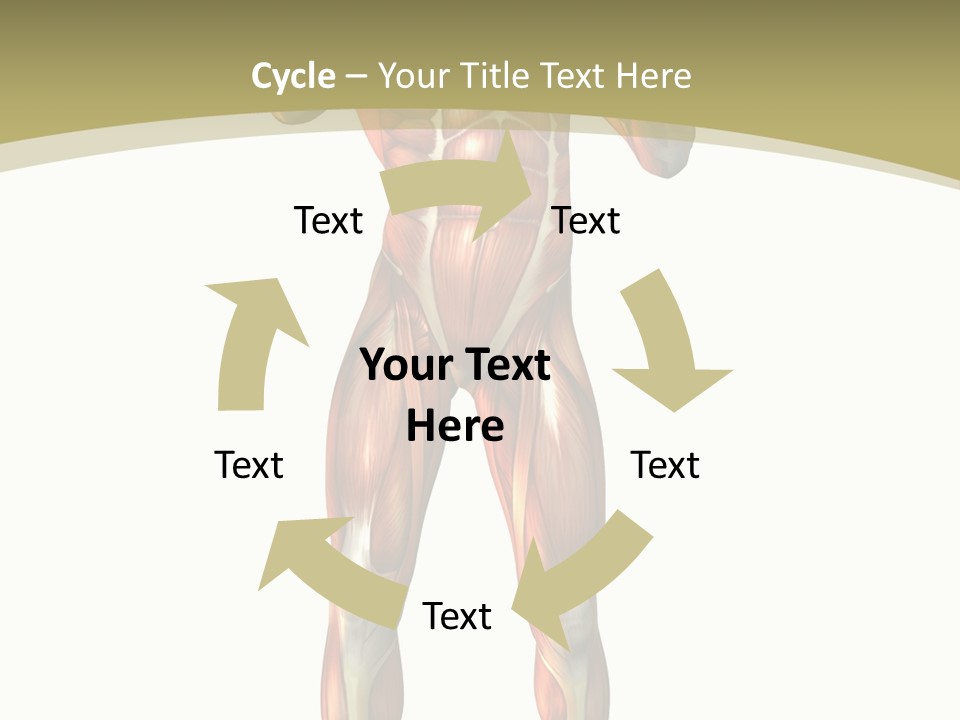 Clipart Man Male PowerPoint Template