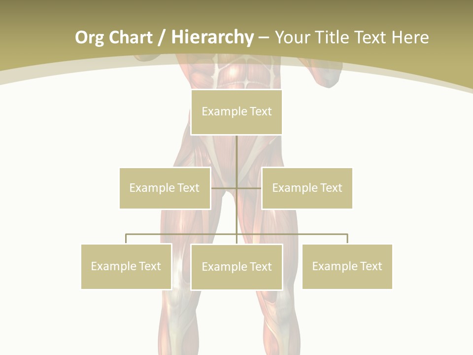 Clipart Man Male PowerPoint Template