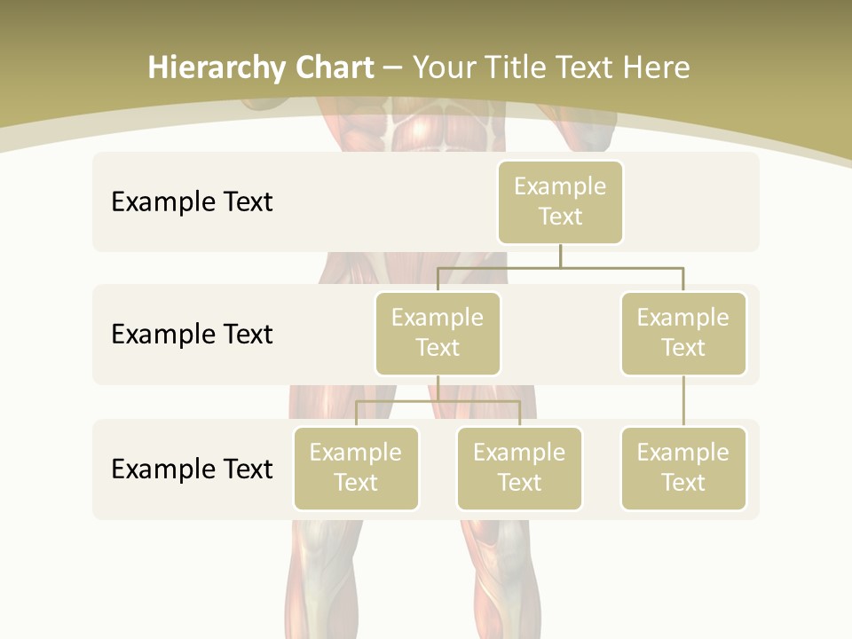 Clipart Man Male PowerPoint Template