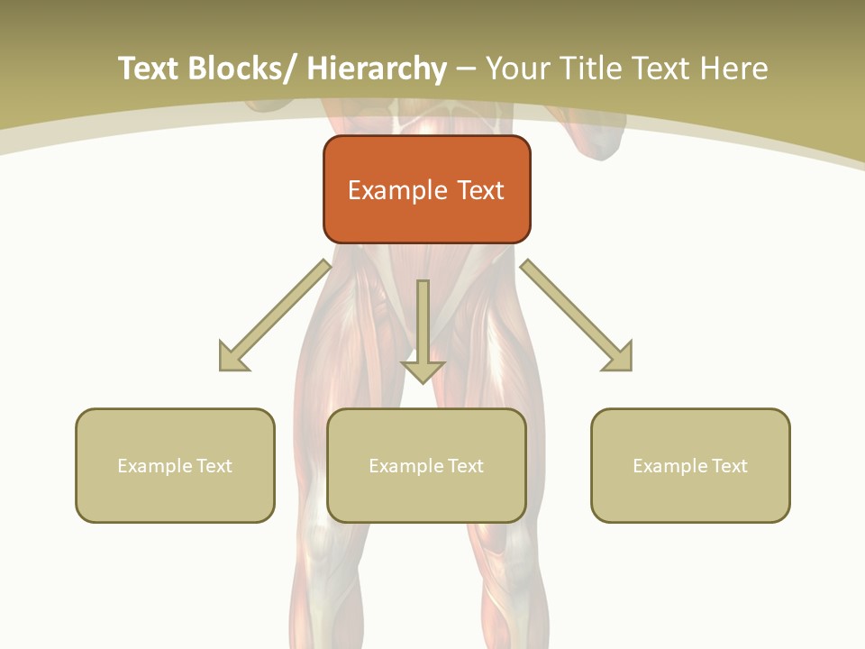 Clipart Man Male PowerPoint Template