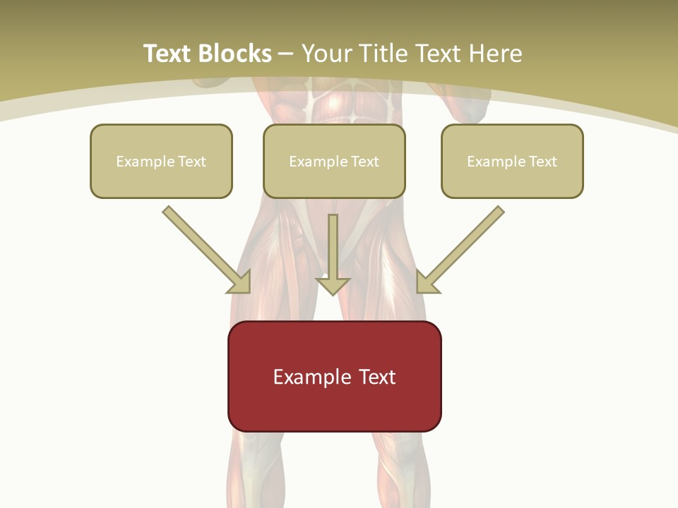 Clipart Man Male PowerPoint Template