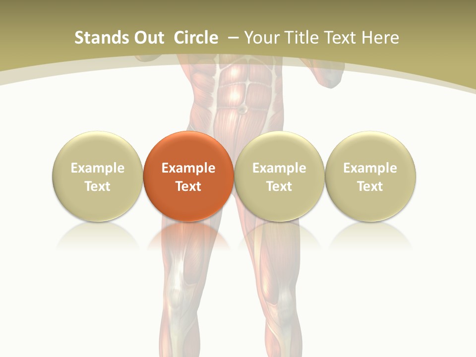 Clipart Man Male PowerPoint Template