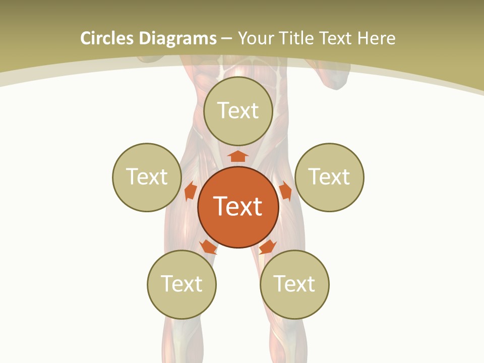 Clipart Man Male PowerPoint Template