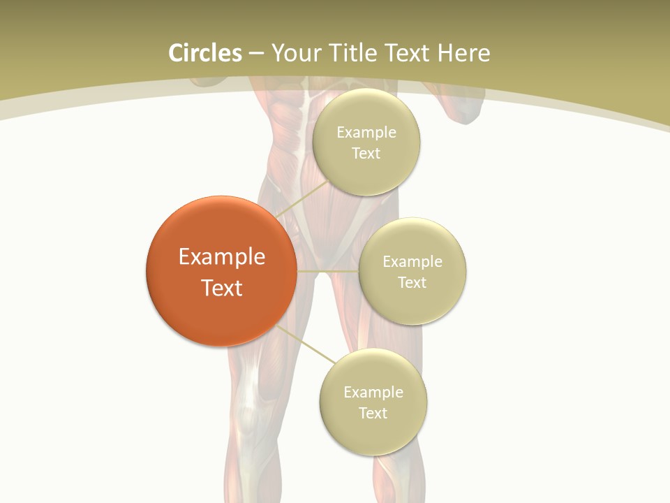 Clipart Man Male PowerPoint Template