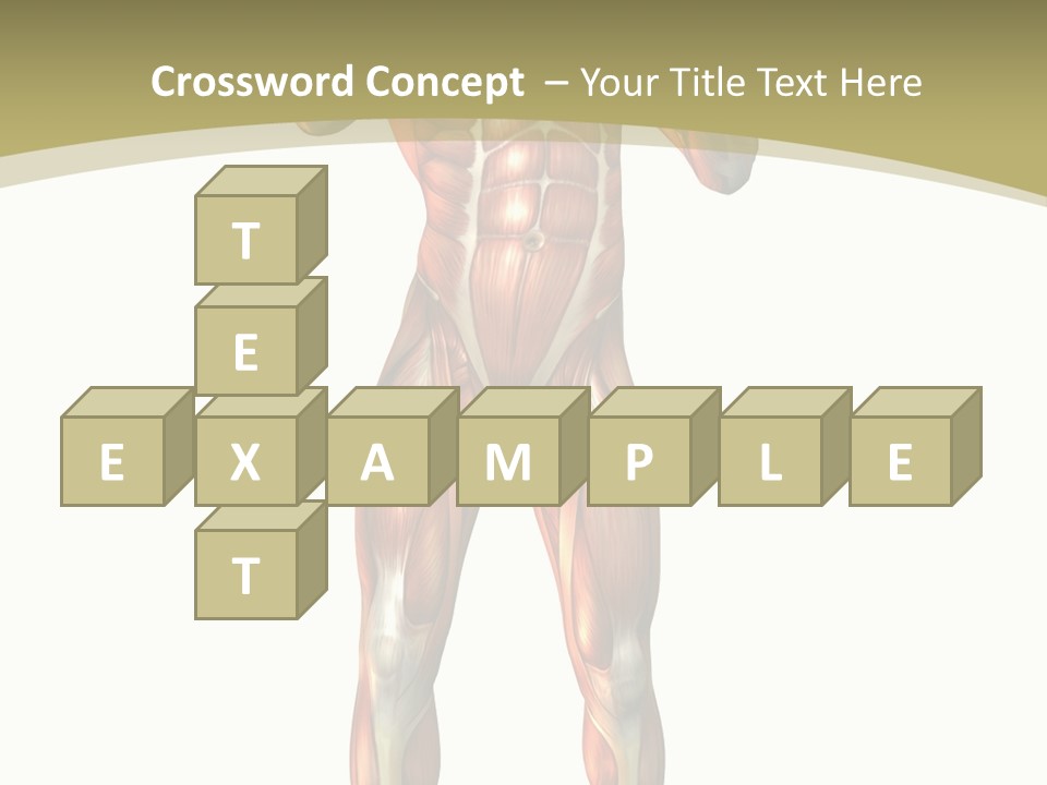 Clipart Man Male PowerPoint Template