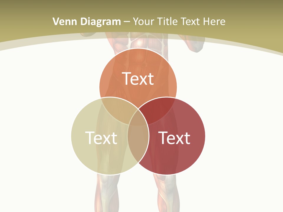 Clipart Man Male PowerPoint Template