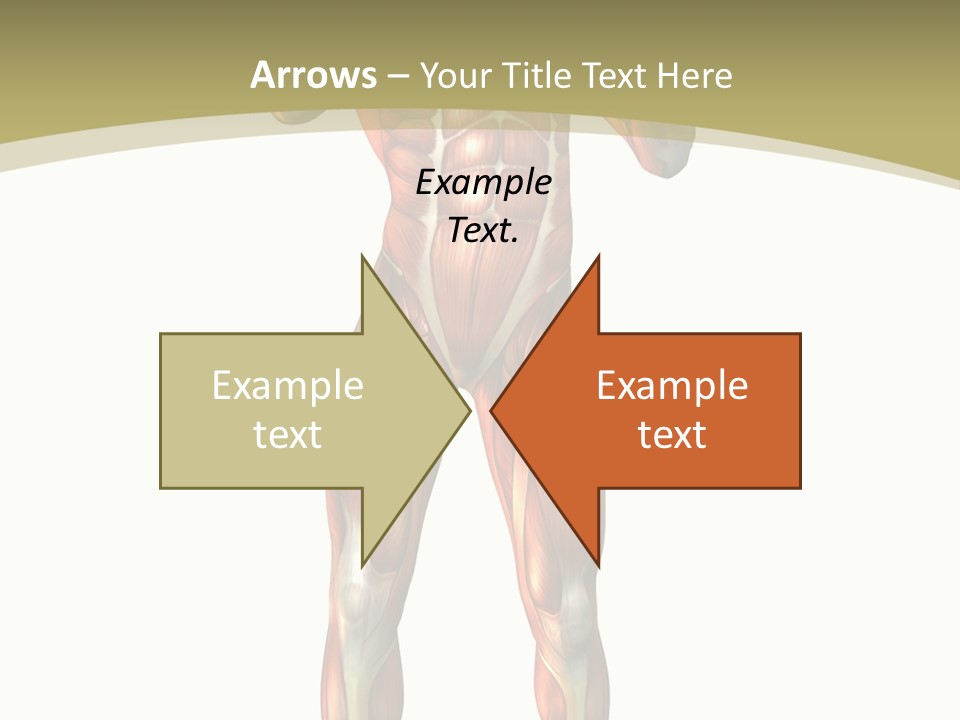 Clipart Man Male PowerPoint Template