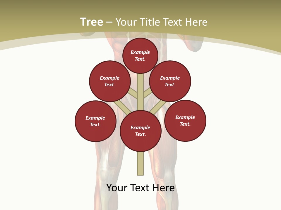 Clipart Man Male PowerPoint Template