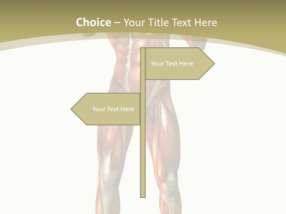 Clipart Man Male PowerPoint Template