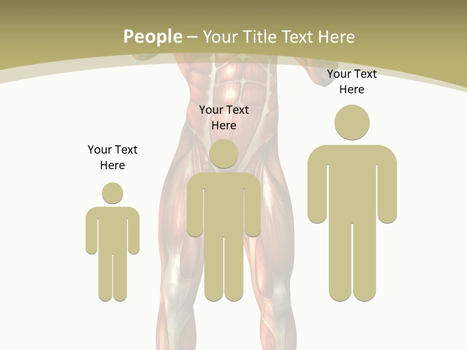 Clipart Man Male PowerPoint Template