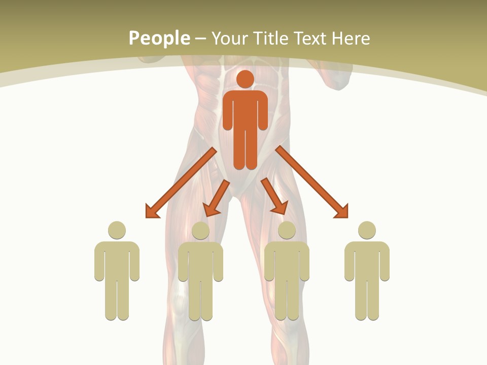 Clipart Man Male PowerPoint Template