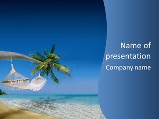 Seagull Nature Wait PowerPoint Template