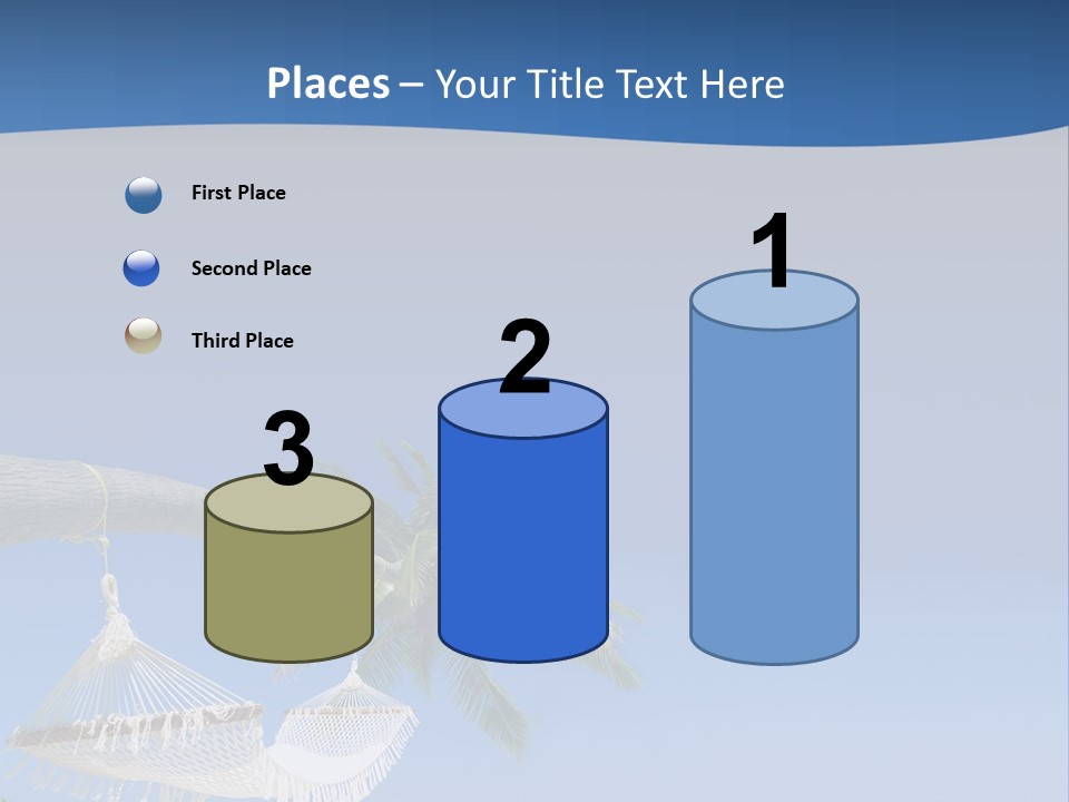 Seagull Nature Wait PowerPoint Template