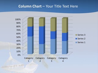 Seagull Nature Wait PowerPoint Template