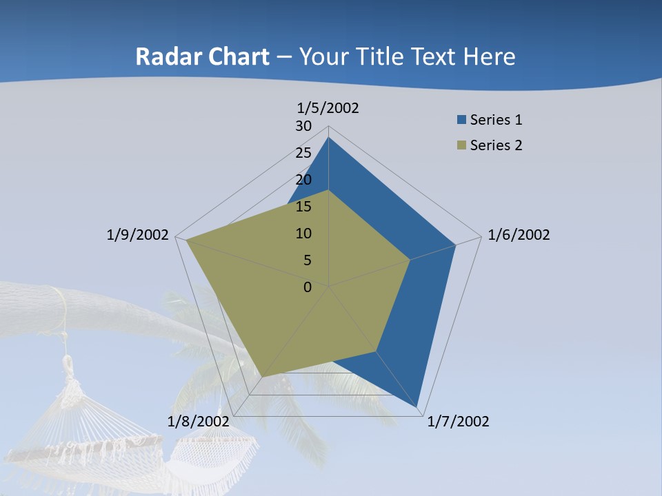 Seagull Nature Wait PowerPoint Template