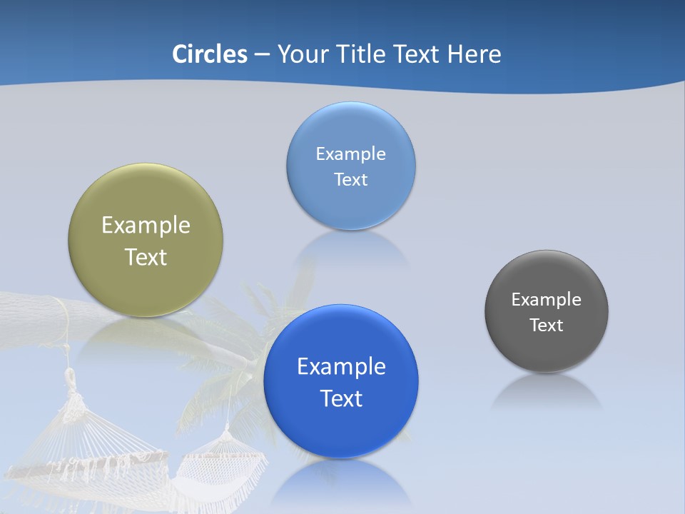 Seagull Nature Wait PowerPoint Template