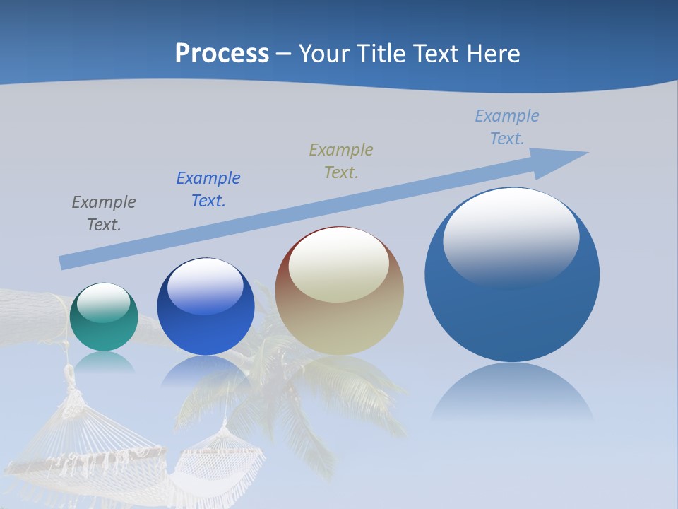 Seagull Nature Wait PowerPoint Template
