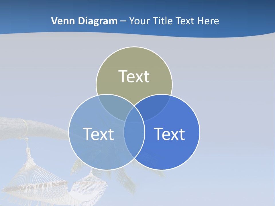 Seagull Nature Wait PowerPoint Template