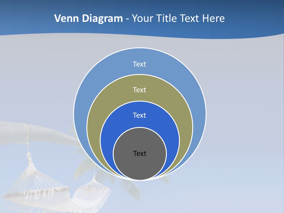 Seagull Nature Wait PowerPoint Template