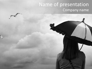 Seagull Nature Wait PowerPoint Template