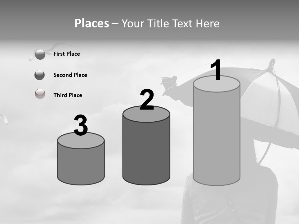 Seagull Nature Wait PowerPoint Template