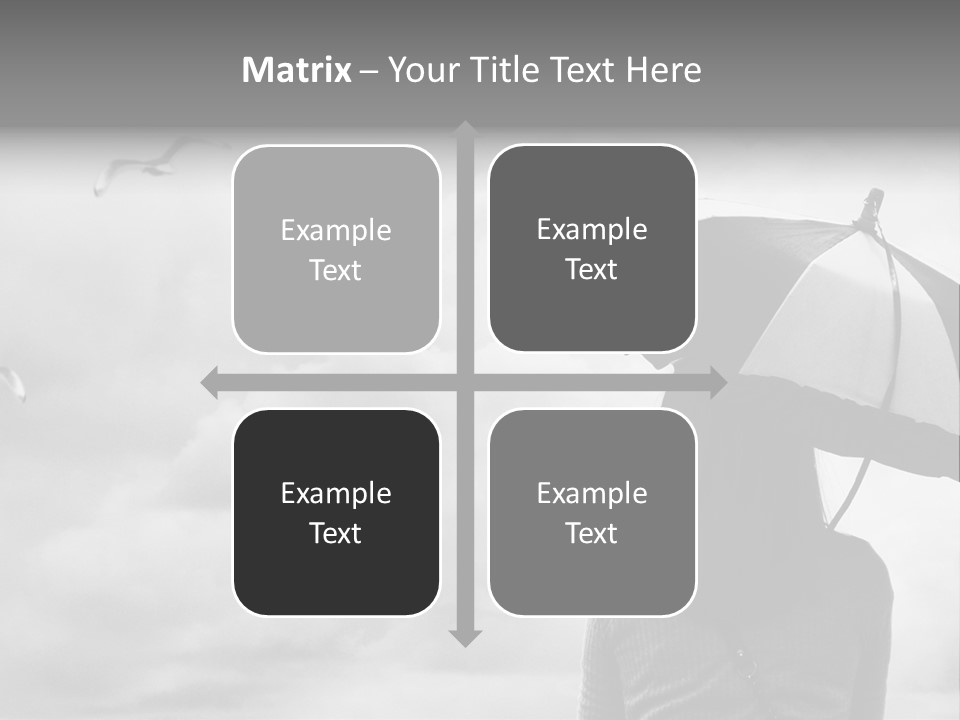 Seagull Nature Wait PowerPoint Template