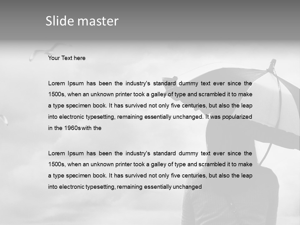 Seagull Nature Wait PowerPoint Template